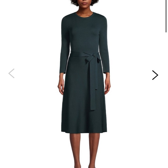 Belted dress NWT - Picture 2 of 6